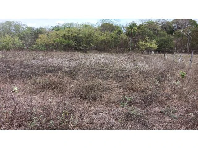 Amazing building property for sale 5 minutes away from Liberia center and 2 minutes walking to the Colorado River - Gallery image 15