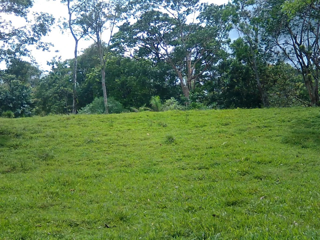 Cattle farm for sale in Aguas Claras with 1 corral and enchanting views - Gallery image 13