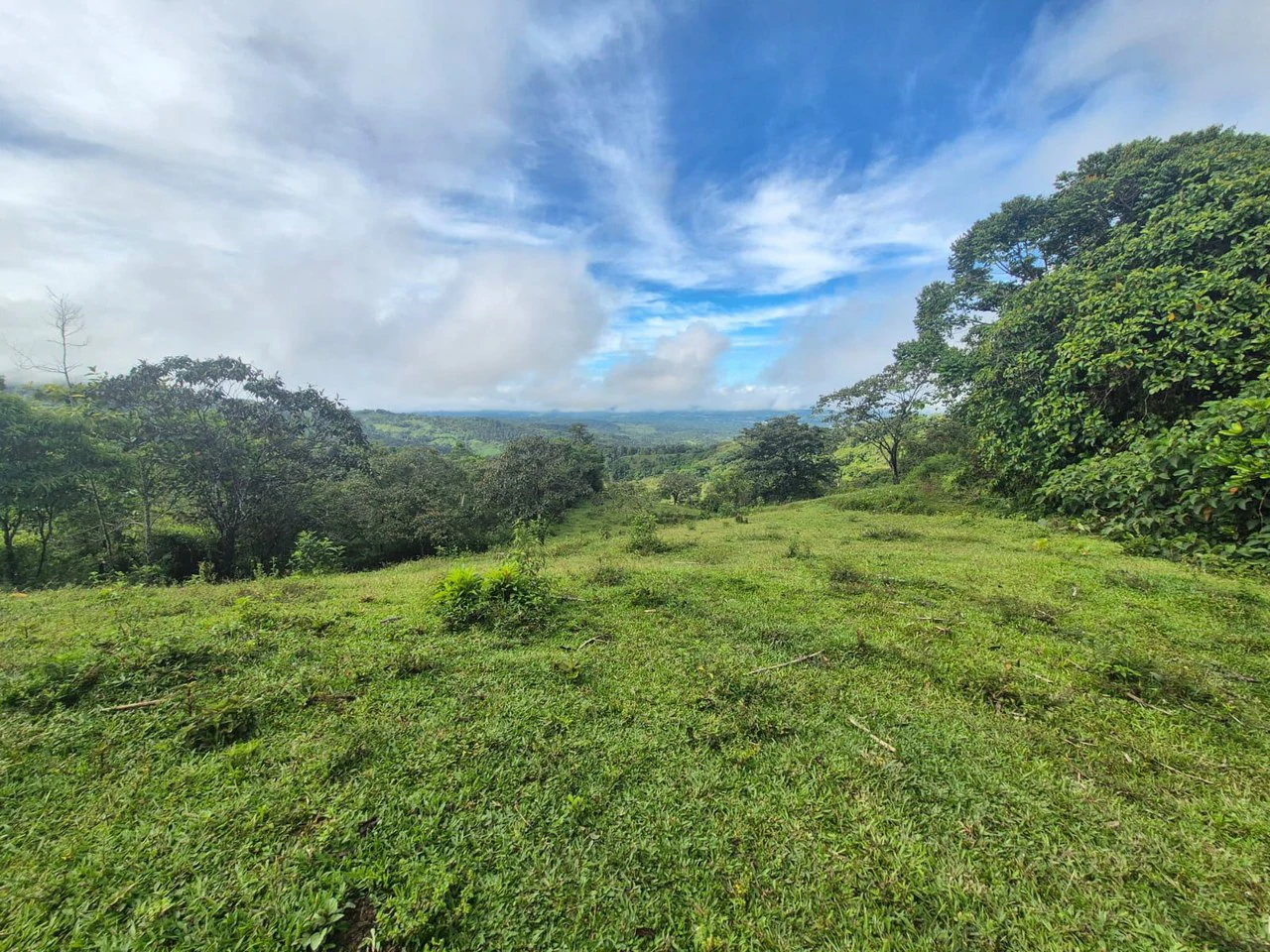 Propiedad en San Blas: Mountain Agricultural Land For Sale in La Linda General Viejo