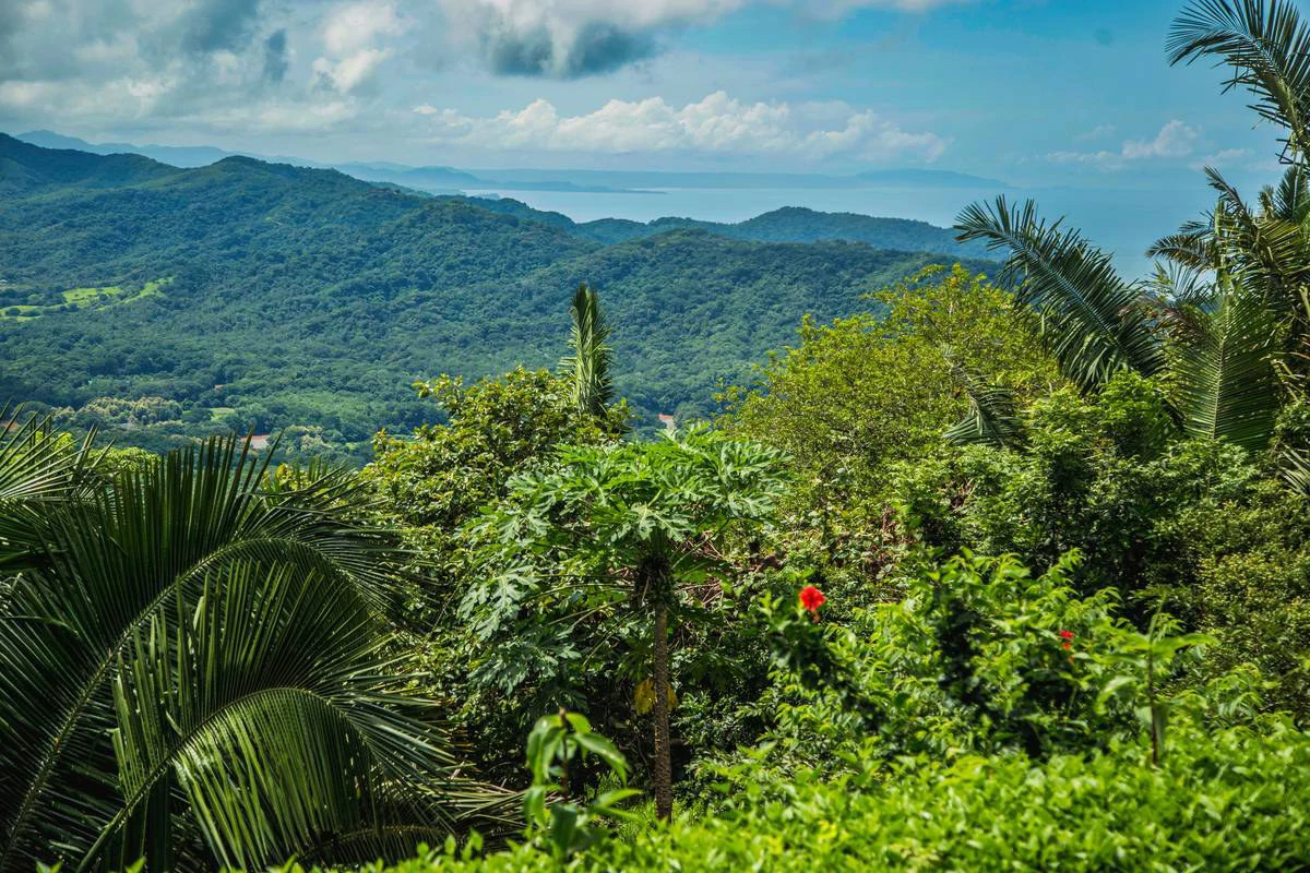Peaceful Retreat Hotel & Restaurant: Unique Boutique Hotel with Restaurant & Bar - Panoramic Ocean and Mountains Views near Playa Carrillo - Gallery image 4