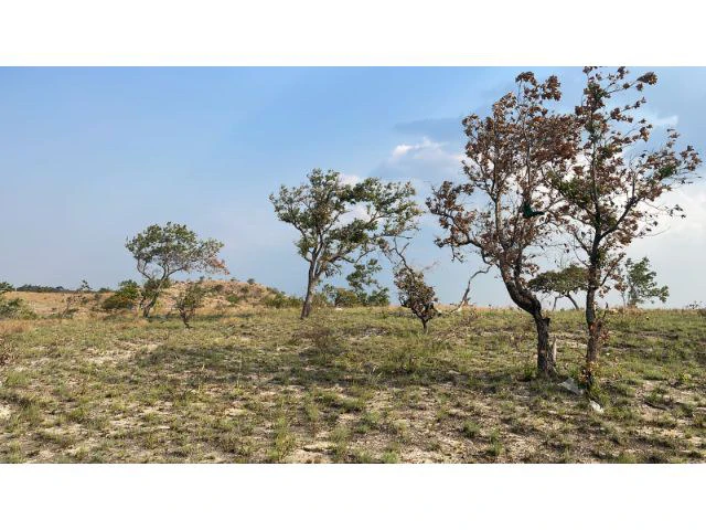Zoning for homes, apartments, and warehouses in the mountains of Liberia, Beautiful 9.7 ha land with building permits - Gallery image 2