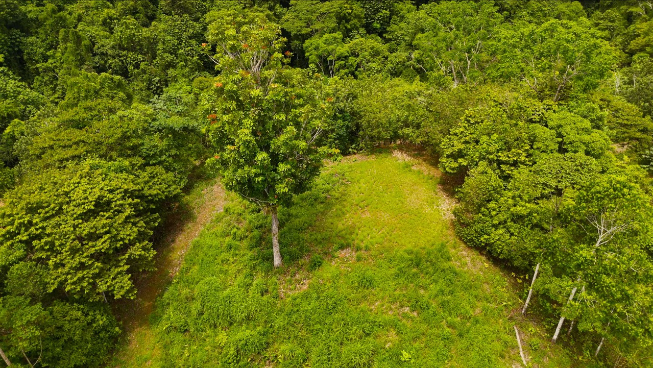 GULF VIEW PROPERTY IN PUERTO JIMENEZ, COSTA RICA - Gallery image 13