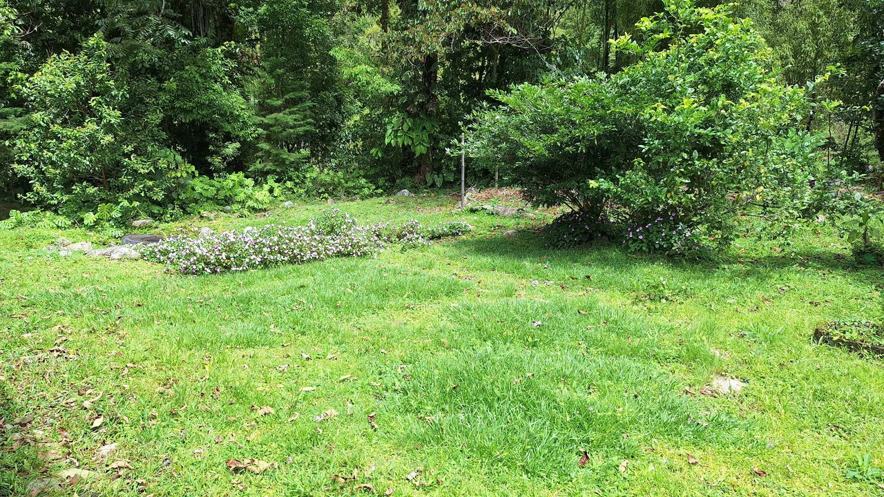 Propiedad en cedral: Mountain Home Construction Site For Sale in Cajón - Gallery image 14