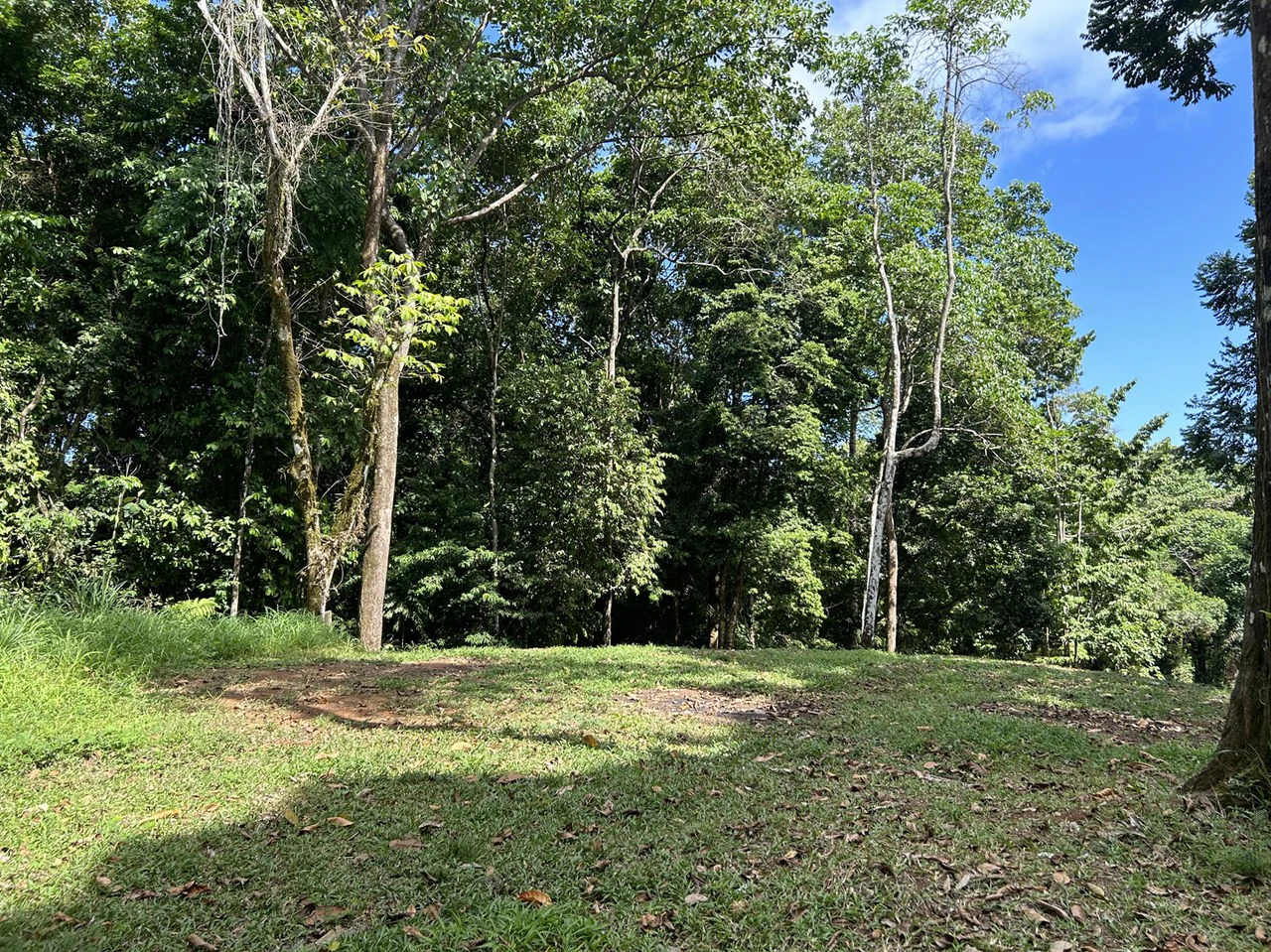 Cabo Matapalo: Jungle View Lot Priced To Sell! - Gallery image 12