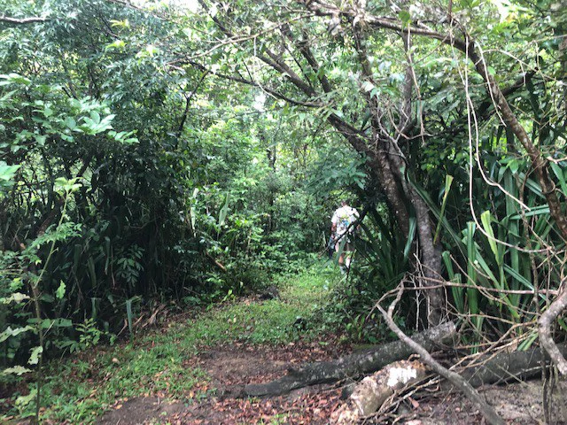 Warm Spring Mountain Property in a tropical landscape and antique wooden house,  50 minutes from Liberia city - Gallery image 19