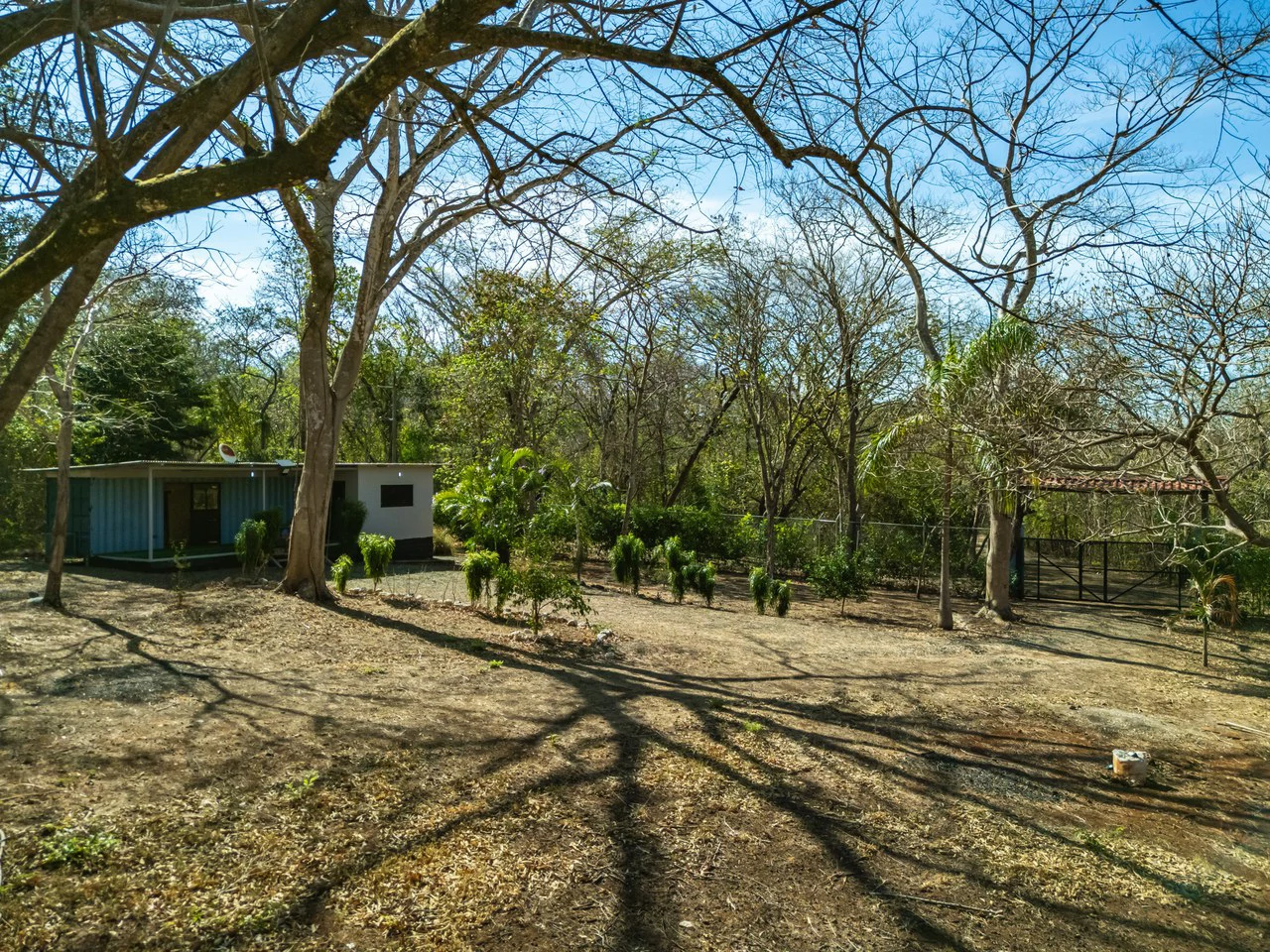 Casa Jungle: Jungle Lot with Container Home 10 min from the beach - Gallery image 2