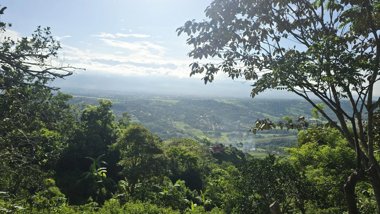 Mountain Agricultural Land For Sale in San Isidro del General - Gallery image 8