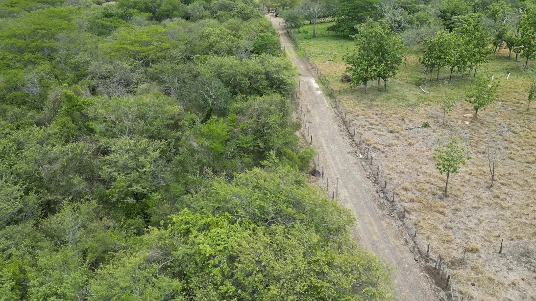 Land for Sale in Liberia, Guanacaste - Gallery image 5