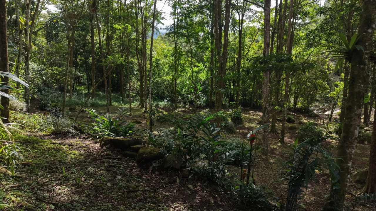 Mountain Home Construction Site For Sale in Santa Elena - photo 11
