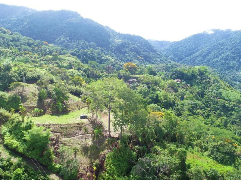 Captivating 3.15-Acre Property: Huge Pricedrop! Firesale Oceanview Lot in Tres Rios - Gallery image 3
