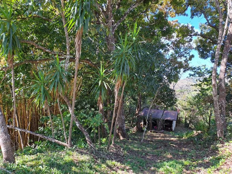 Lotes Mirador: Lotes Mirador, Breathtaking Lots with Stunning Ocean and Mountain Views, Large Building Pads, just 30 minutes from Samara Beach - Gallery image 4