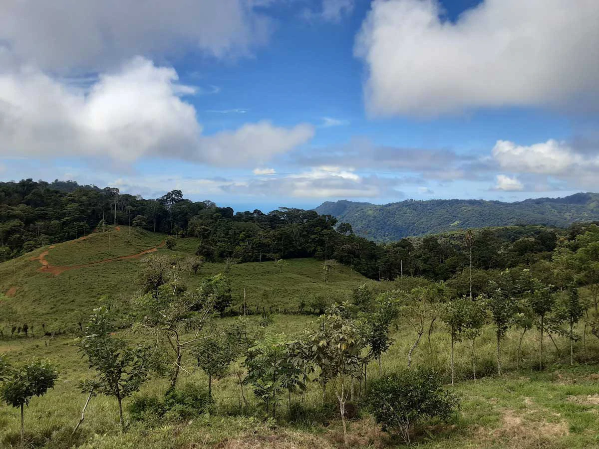 Finca Tesoro Escondido - The Jewel of Uvita - Gallery image 70