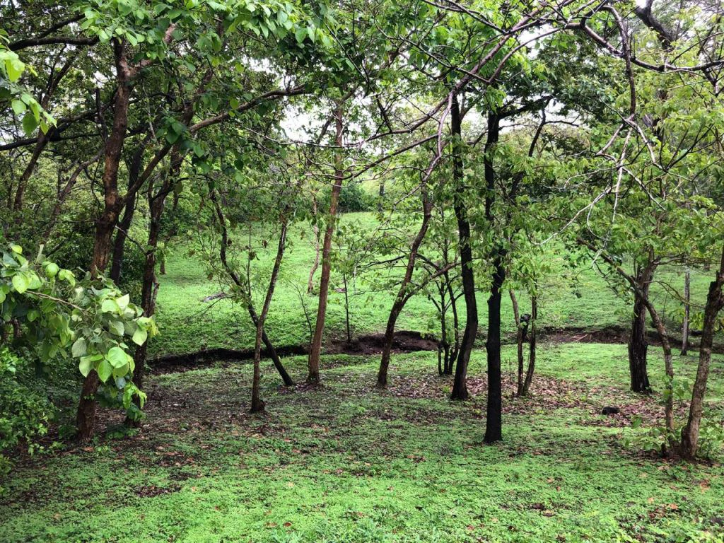 Lot in exclusive Residential, close to Beach Tamarindo - Gallery image 15