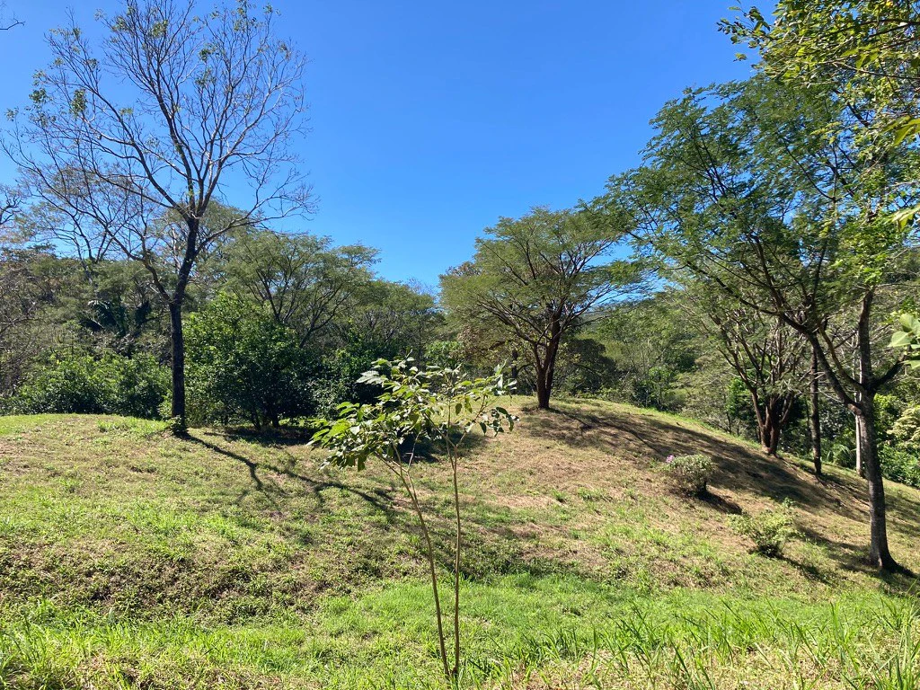 Lote del Bosque: Beautiful Acre Lot in Montaña - Gallery image 3