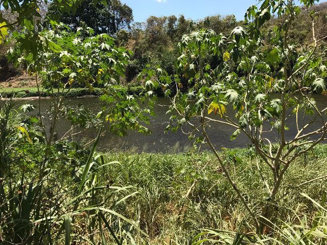 Huge terrain for sale in Guardia close to the International Airport of Liberia - Gallery image 8