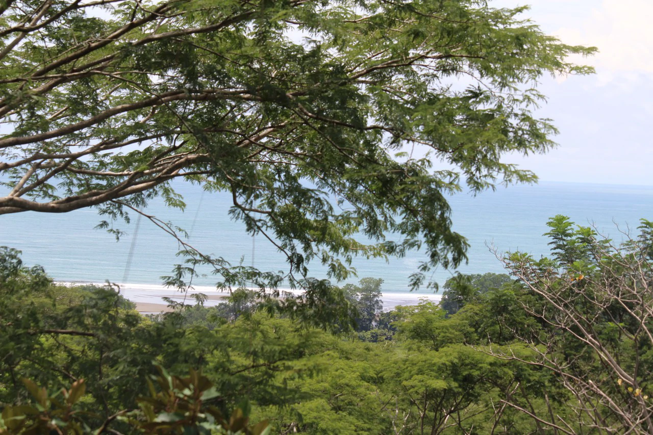 Whitewater Sunset Ocean View Lot Close to Dominical Beach - Gallery image 5