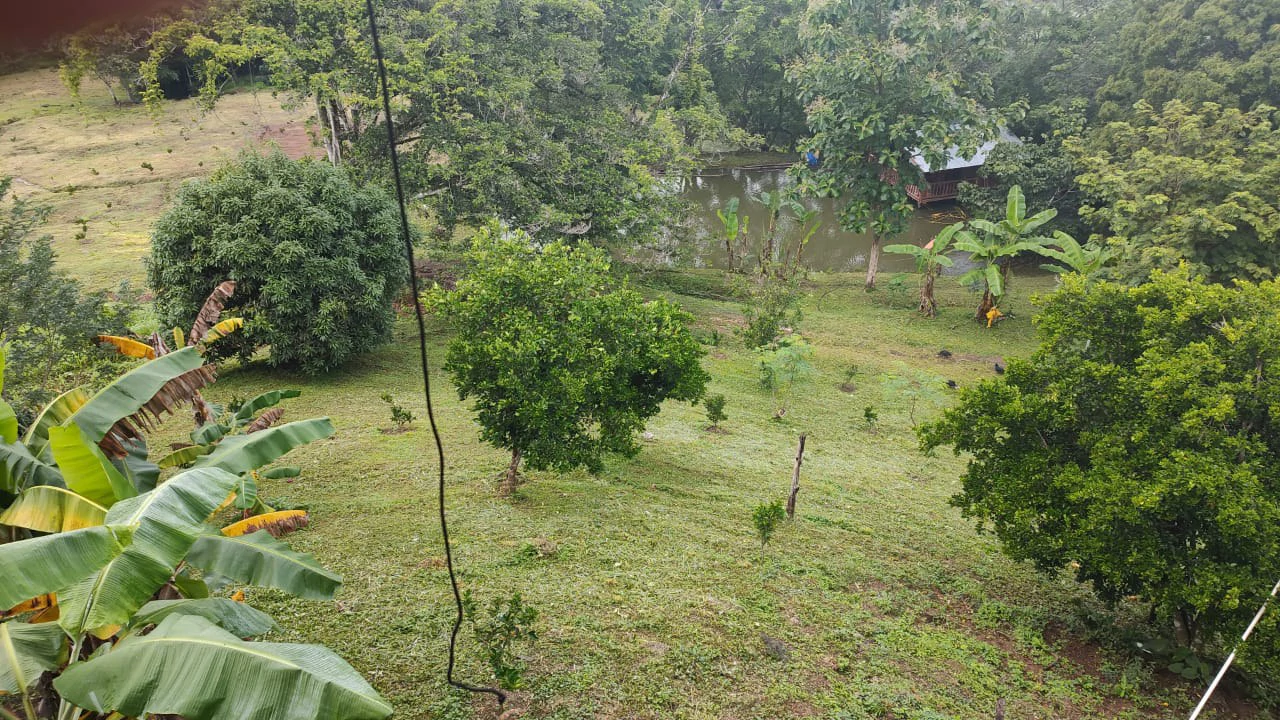 Agricultural Farm for Sale in the mountains of Hojancha, Beautiful 25-acre property with floating lake Apartment and Huge main home - Gallery image 10