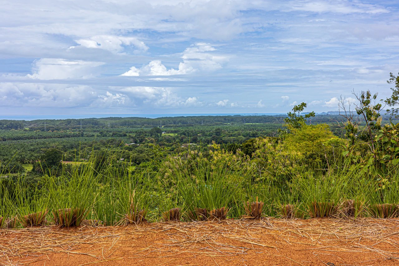 New Gated Development in Matapalo - Ocean View and Flat Land, ready to build! - Gallery image 23