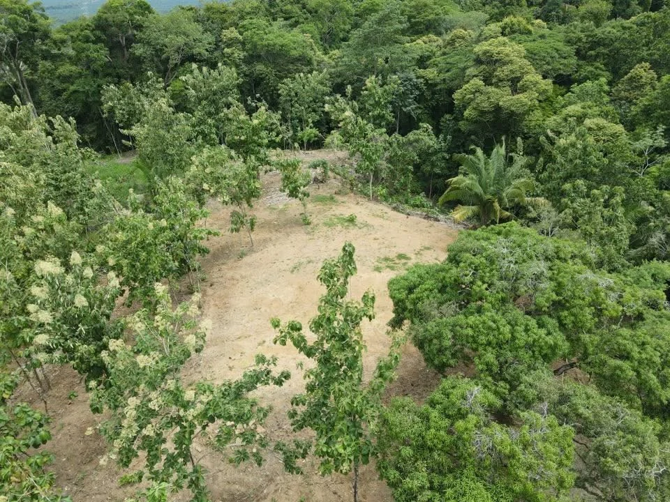 River Frontage Lot For Sale in Costa Rica Residential & Commercial Zoning - Gallery image 11