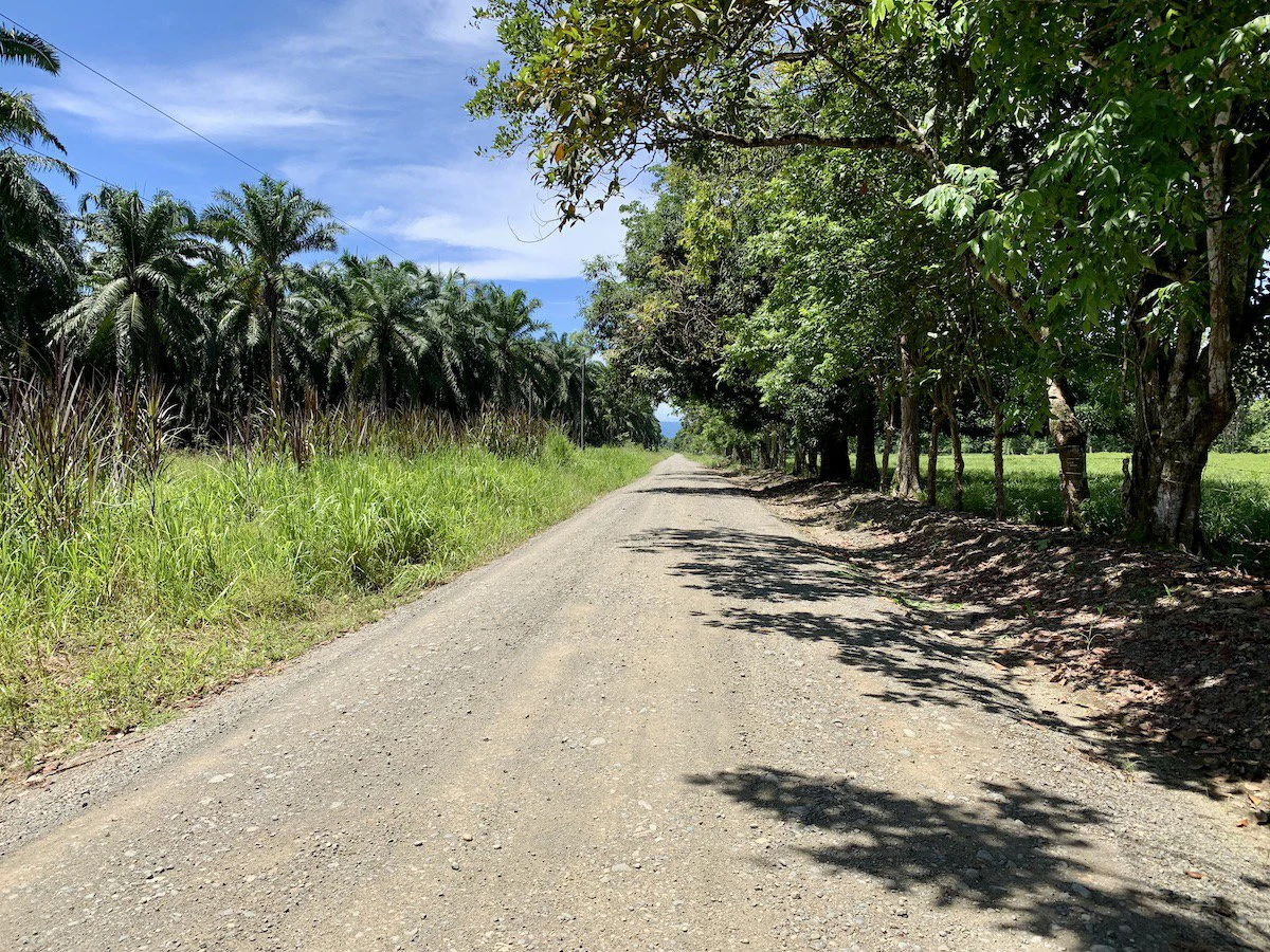 Titled Property Near The Golfo Dulce Coast - Gallery image 10