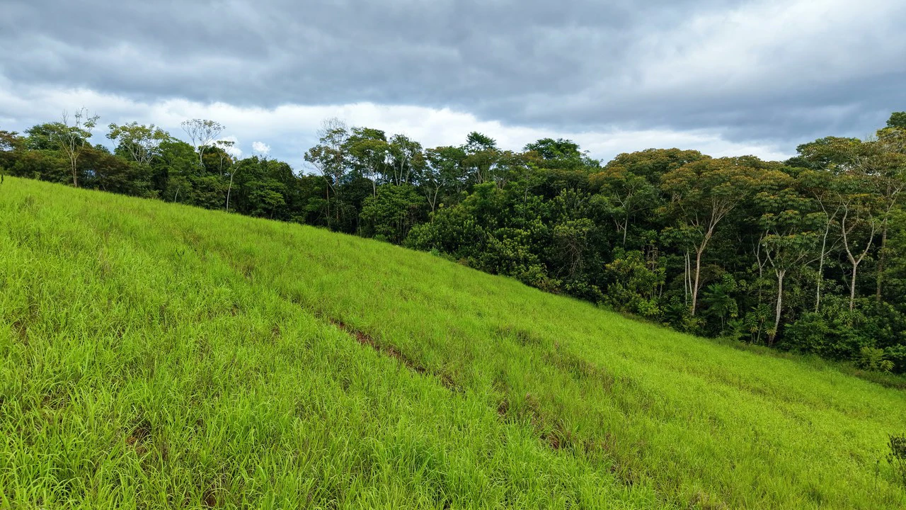 Countryside Home Construction Site For Sale in San Pedro - Gallery image 23