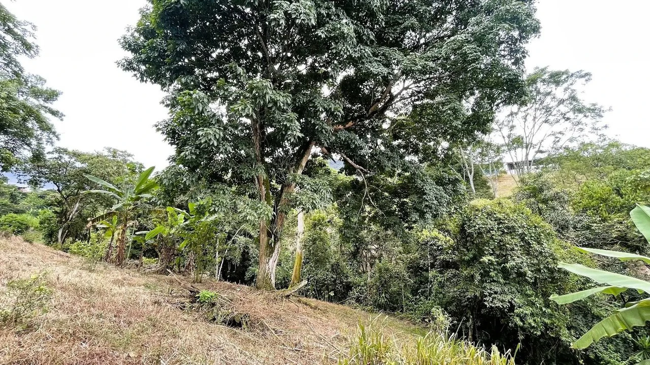 LAND FOR SALE IN SAN MIGUEL, NARANJO - Gallery image 21