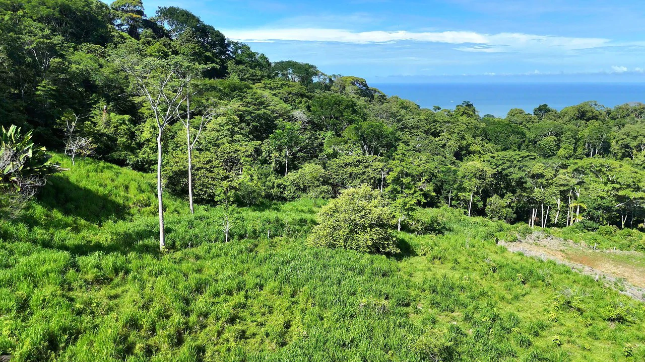 Near the Coast and Mountain Home Construction Site For Sale in Uvita - Gallery image 11