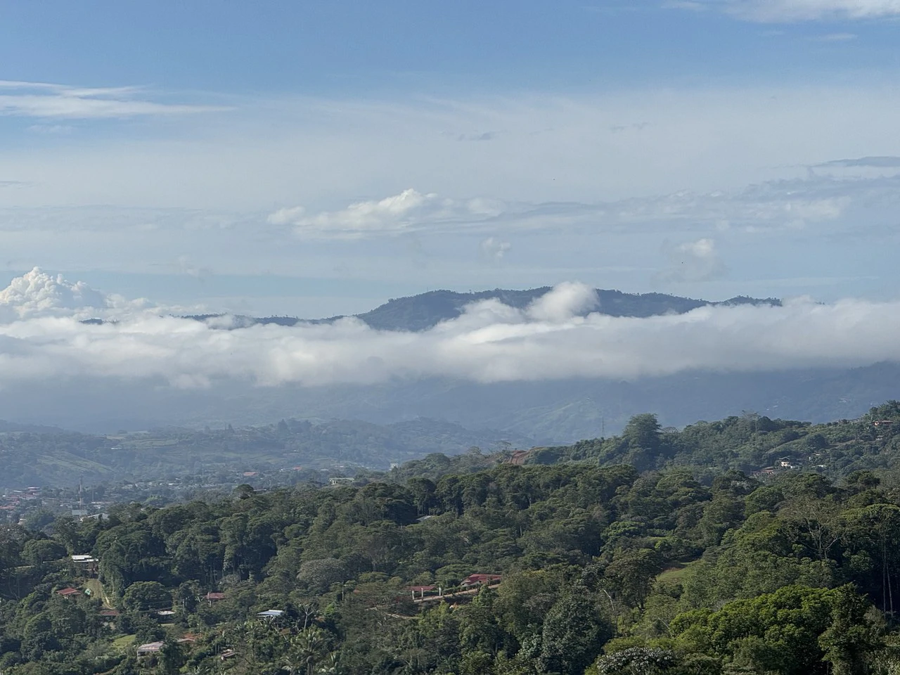 Stunning 2.4 Acre Property in Quebradas San Isidro del General - Gallery image 17