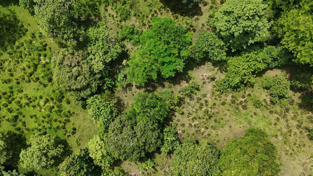 Walk to the beach, Developement Land, Mini Ranch, Central Uvita - Gallery image 10