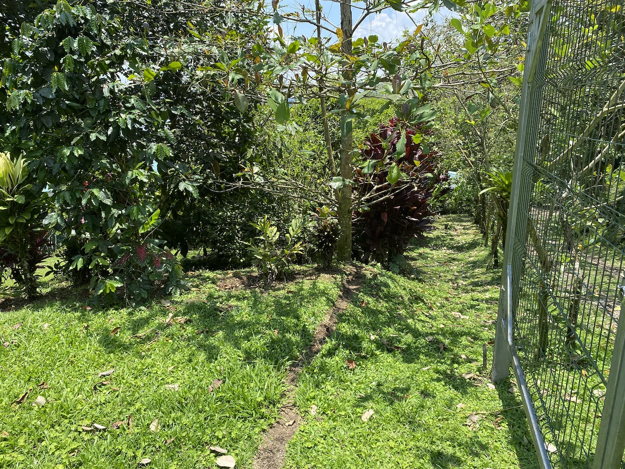 Beautiful Property with 4 cabins in El Castillo with gorgeous Lake View..!! - photo 5