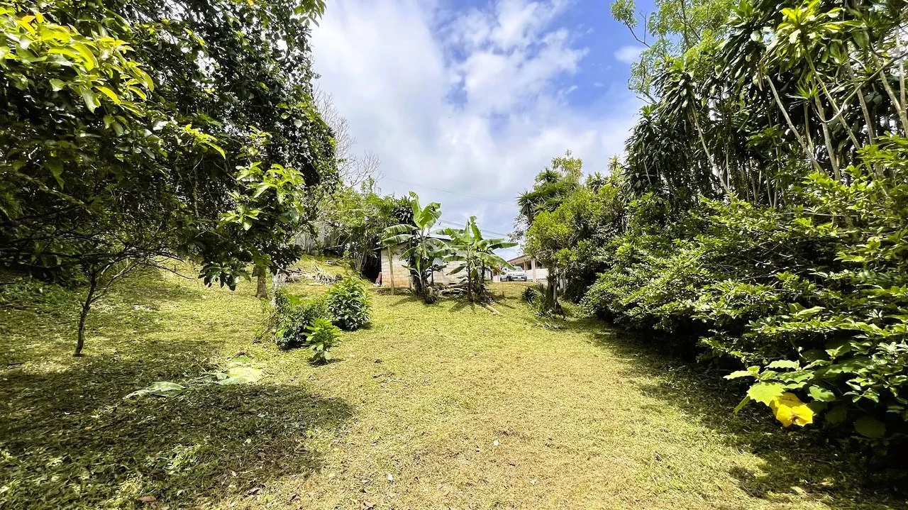 INVESTMENT: HOUSE & LARGE LOT IN SAN ISIDRO, SAN RAMON: House For Sale in San Ramón - Gallery image 15