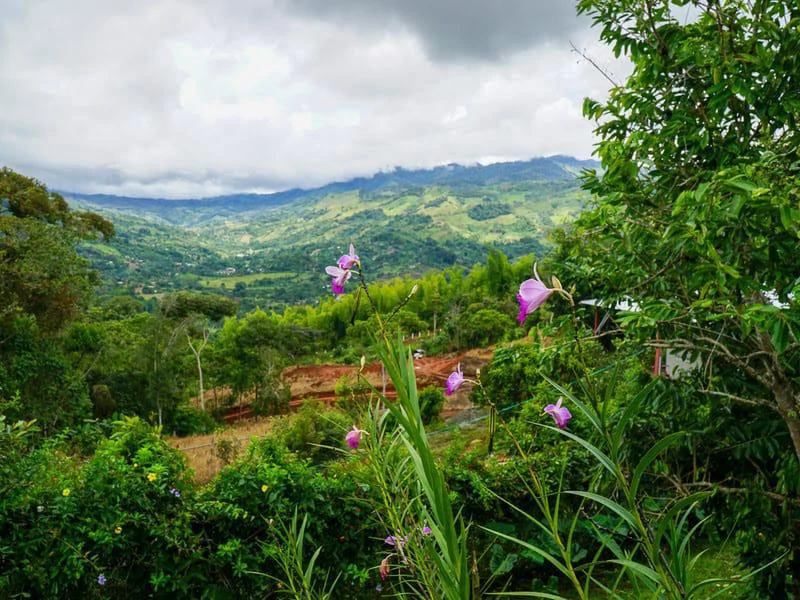 0.2 ACRES – 2 Bedroom House In San Isidro With 360 Degree Mountain Views!!! - Gallery image 24