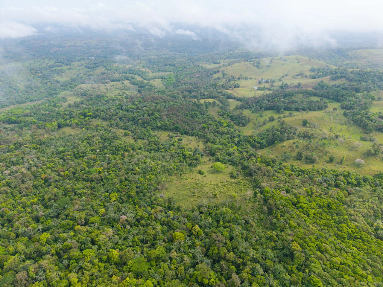 Finca Las Zompopas-Río Celeste: 113-Acre Biodiverse Property in Bijagua, Ideal for Eco-Tourism, Private Retreats, or Sustainable Development - Gallery image 23
