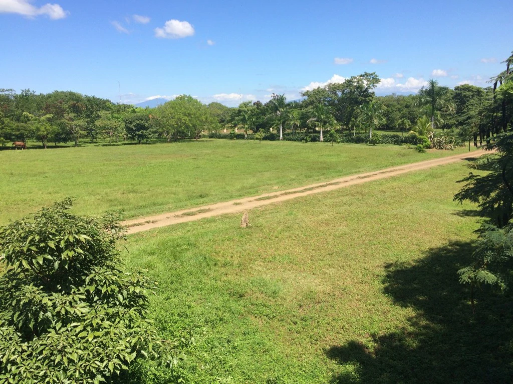 Great Ocean, valley and garden view Lots for sale in a Private Gated Community in Peninsula Papagayo - Gallery image 7