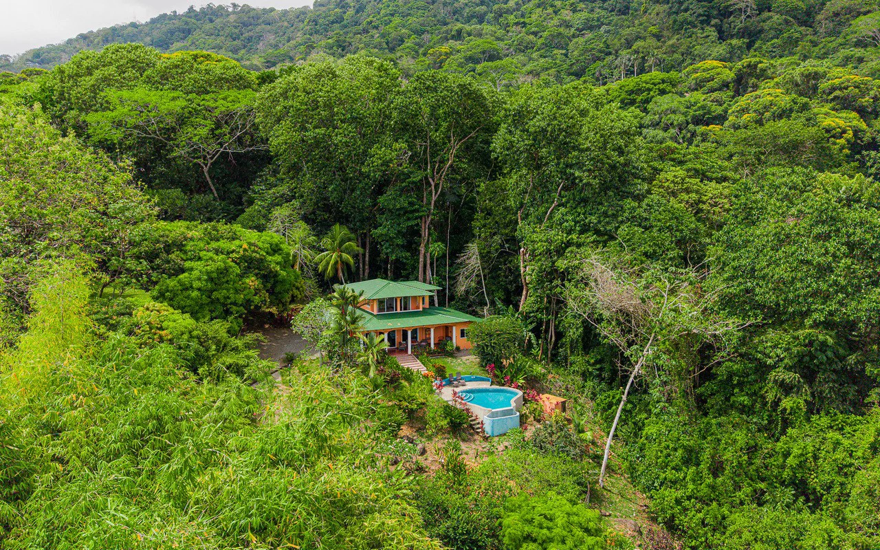 Whale's Tail Ocean View Estate with Extra Lot in Between Uvita and Dominical - Gallery image 90