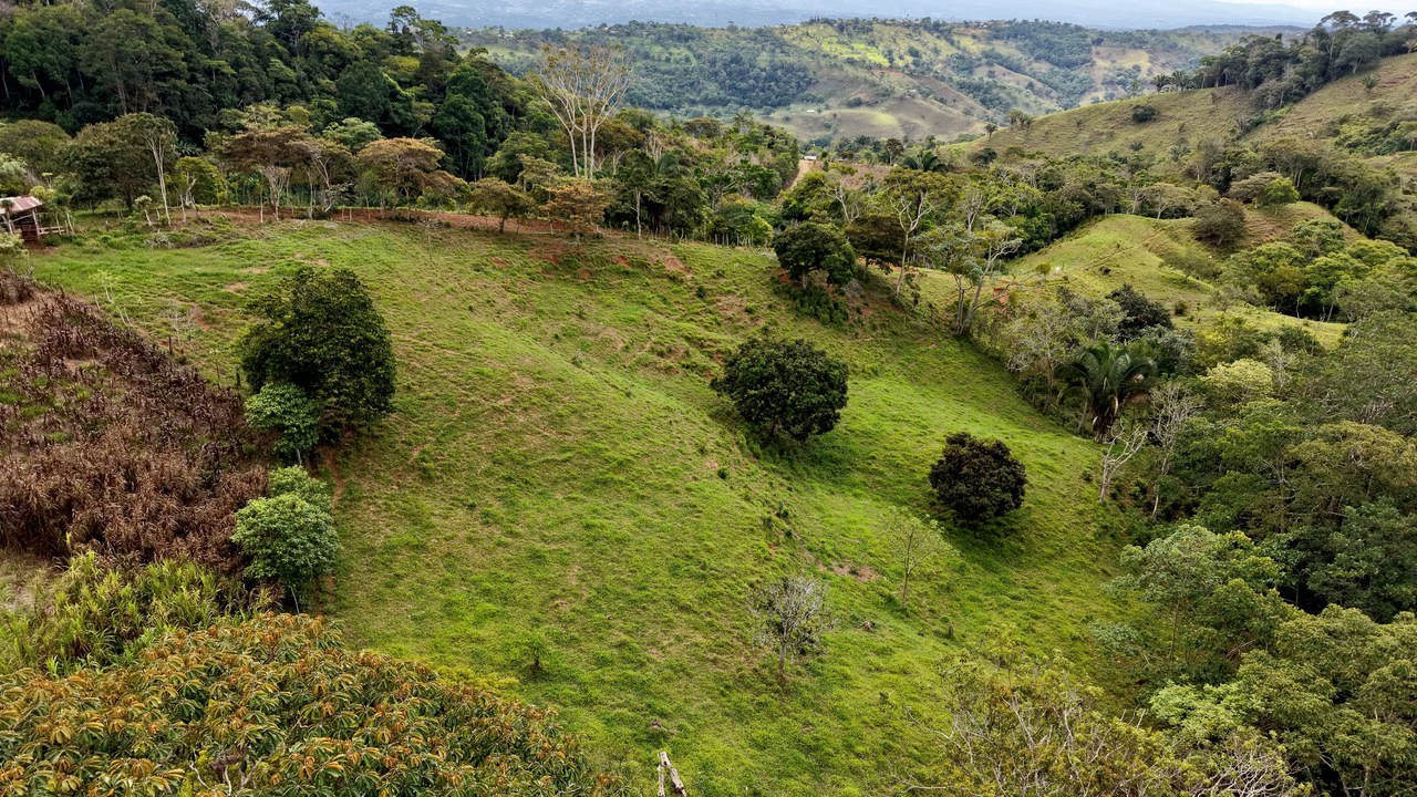 Countryside Home Construction Site For Sale in Centro de Pérez Zeledón - Gallery image 12