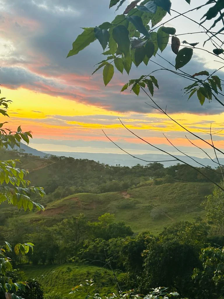 CAPTIVATING OCEAN AND PANORAMIC MOUNTAIN VIEW FINCA IN PURISCAL - Gallery image 15