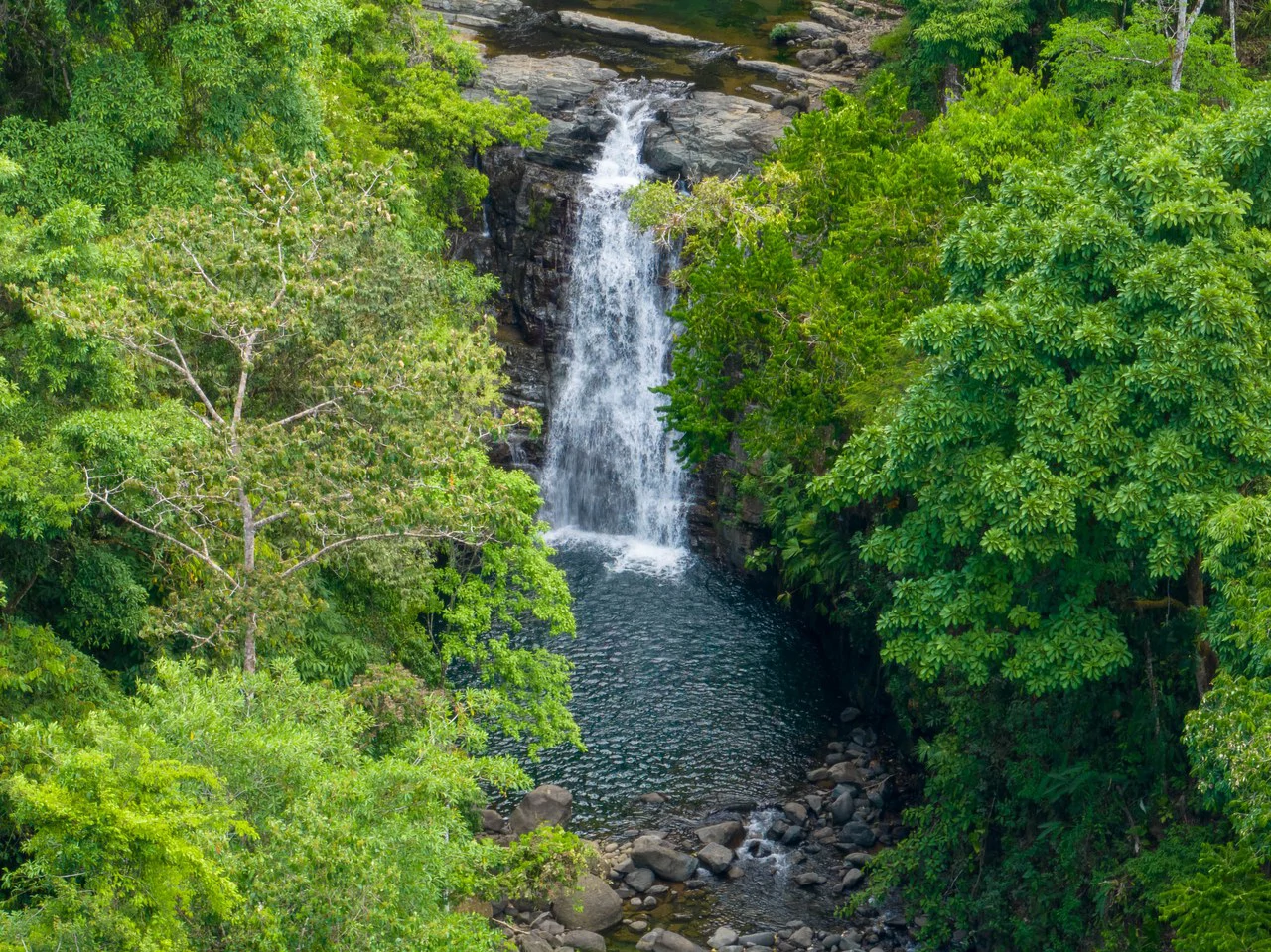 101 Acre Waterfall Riverfront and Ocean View Farm in Playa Uvita - Gallery image 7
