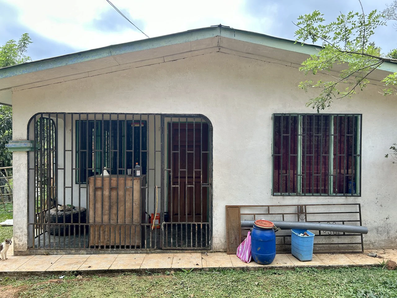 Finca Ceibo Memo: Mountain Home Construction Site For Sale in San Isidro del General - Gallery image 21