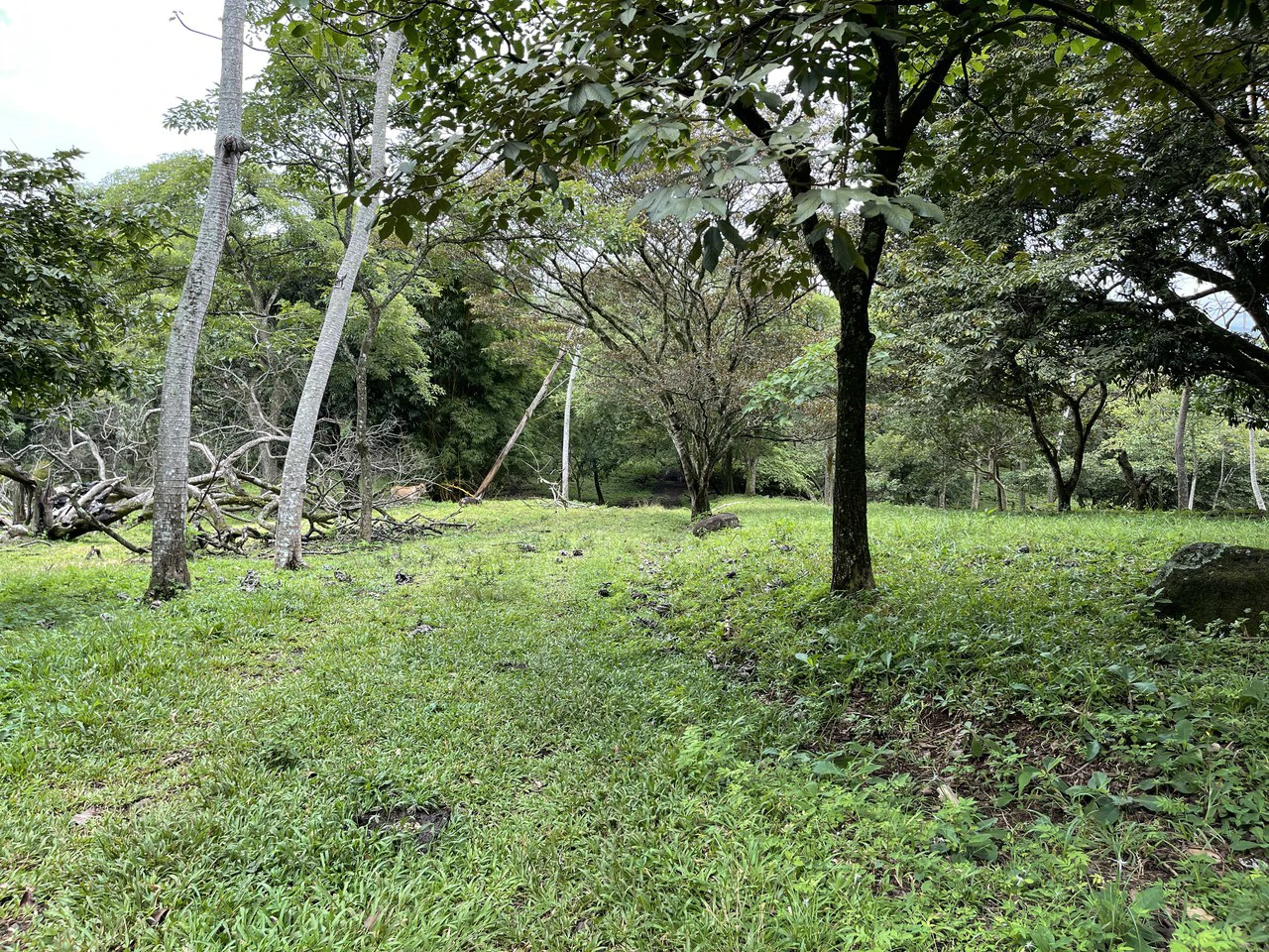 Development land for sale La Garita Alajuela 6.2 hectares - Gallery image 4