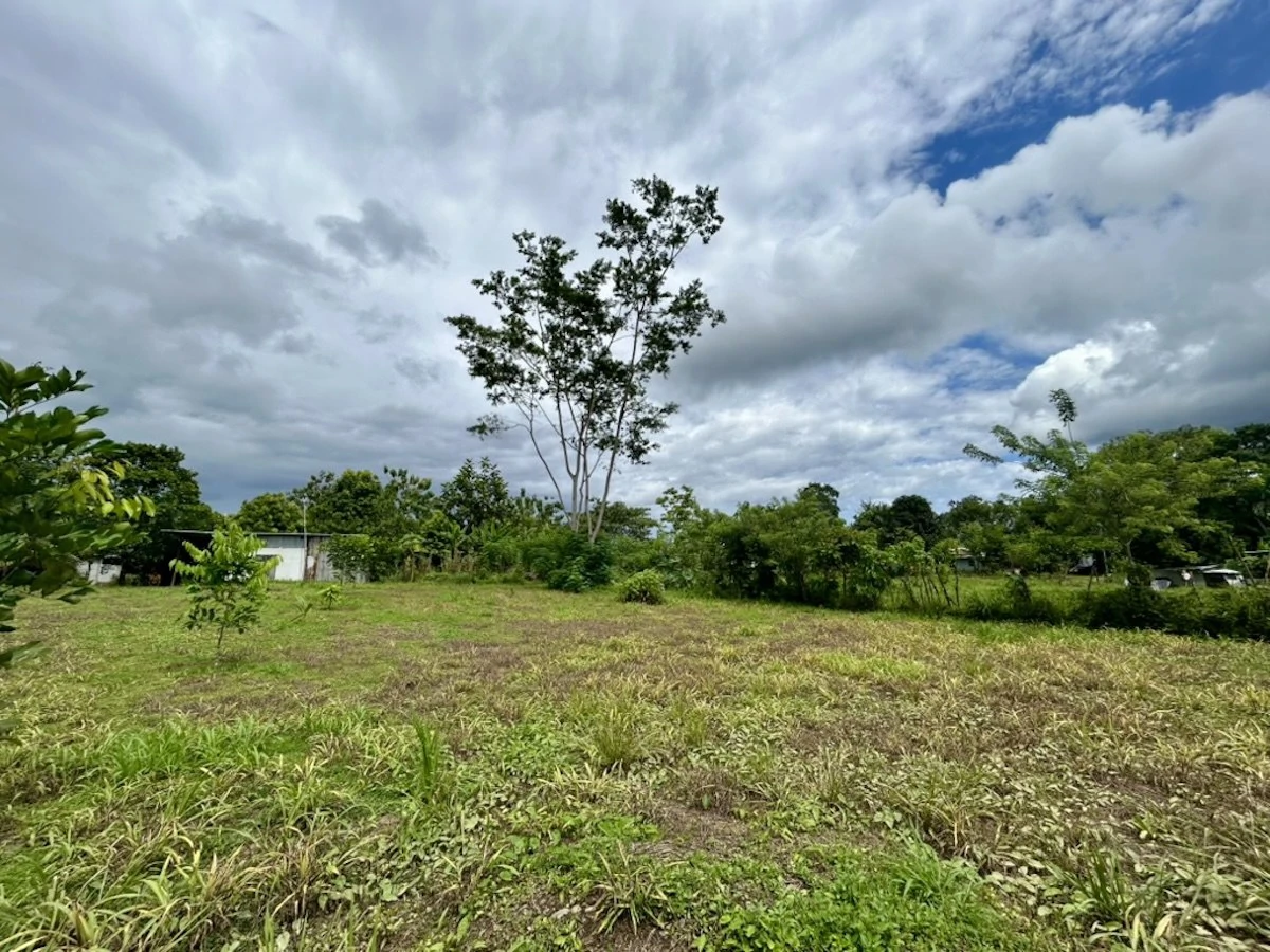 Large Building Lot Near Puerto Jiménez - Gallery image 6
