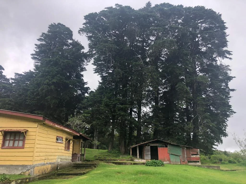 Horse ranch mountain farmland with its own stable's in San Rafael, Heredia - Gallery image 4