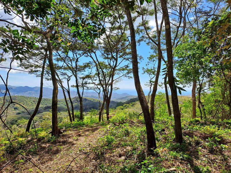 Lote Mirador # 3: Breathtaking Lot with Stunning Ocean Views, Large Building Pad, just 30 minutes from Samara Beach - Gallery image 6