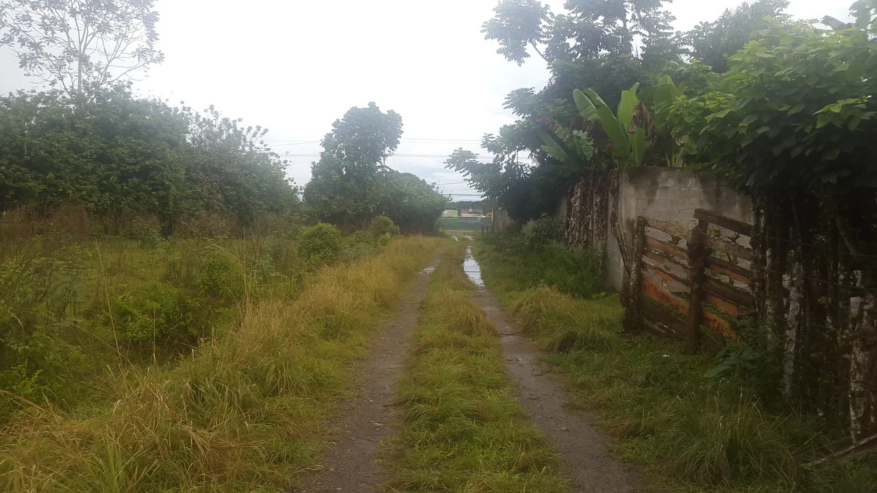 Countryside Development Parcel For Sale in Cariari - Gallery image 7