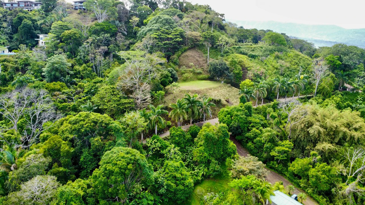 3.6 Acre Ocean View, Near the Beach & Cool Mountain Elevation: Mountain Home Construction Site For Sale in Lagunas - Gallery image 9