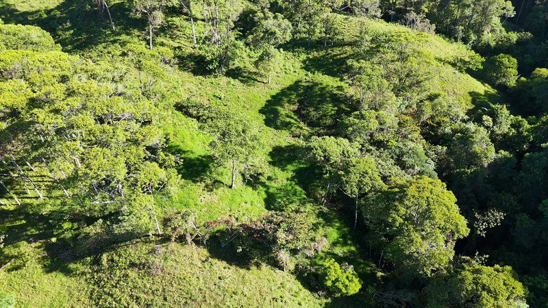 Lote frente a RISE: Mountain Agricultural Land For Sale in El General - Gallery image 10