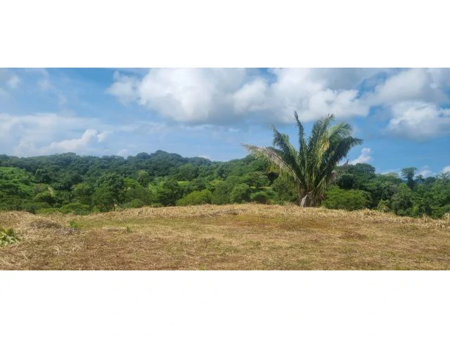 Mountain View property for sale in Samara, stunning 360 nature views land perfect for building - Gallery image 8