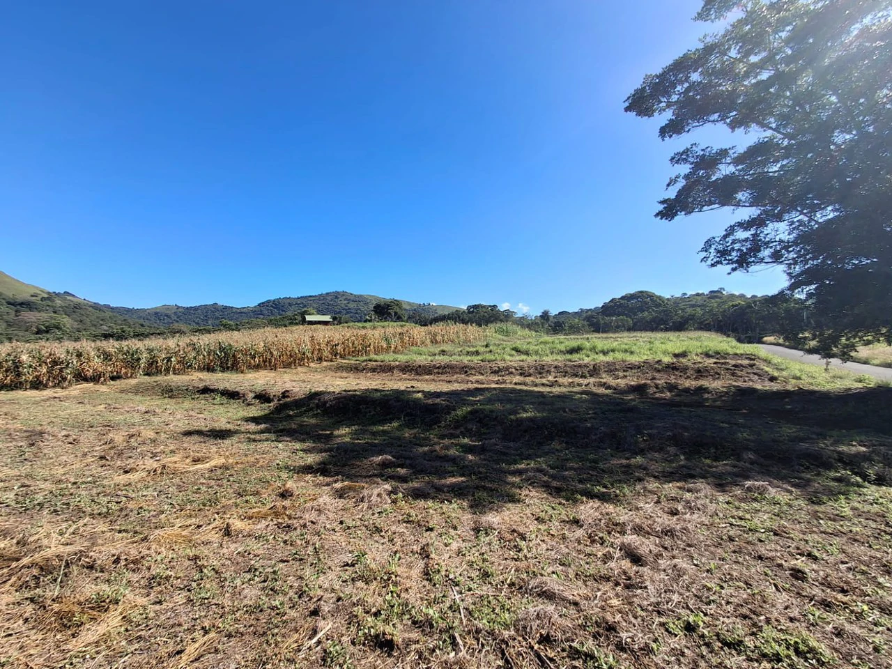 Attn: Developers!: 10 ha Prime Development Land Near Booming Free Zone Corridor - Gallery image 8