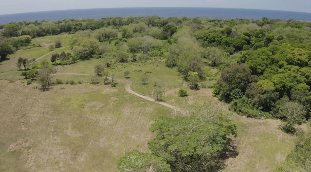 Seaside Matapalo Hatillo - Gallery image 9