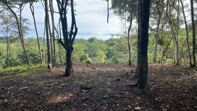 Beautiful Property for Sale in the Mountains of San Juanillo – Prime Land with Building Potential Just 10 Minutes from the Ocean - Gallery image 3